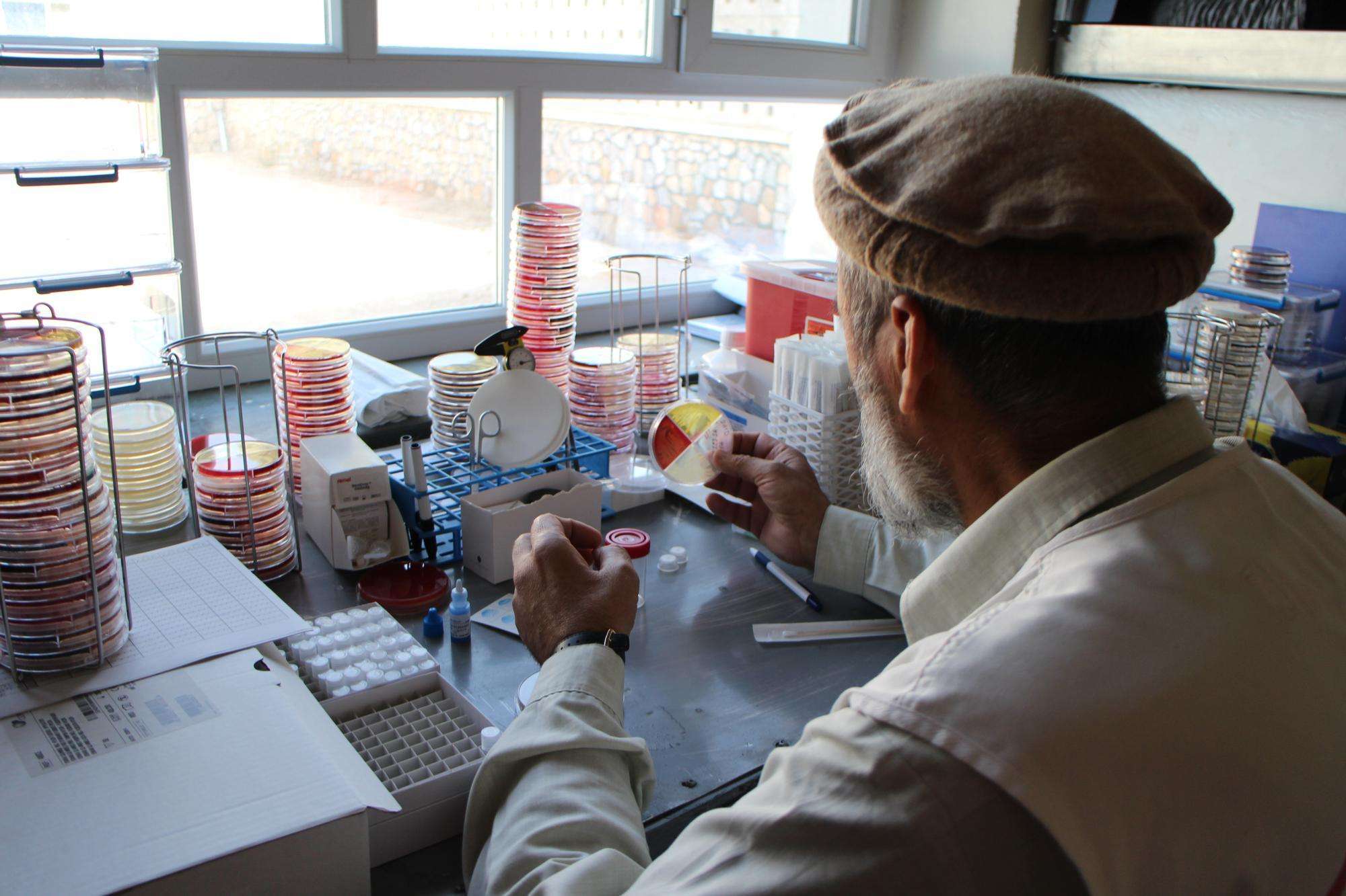 Dr Wardak Abdul Qayoum observes a culture plate to find an interesting bacterial strain in the laboratory in Boost Hospital, Lashkar Gah, Helmand, Afghanistan. 