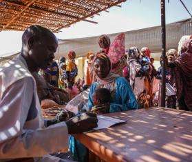 MSF teams in Zamzam camp, Sudan, carry out a rapid malnutrition assessment for displaced people.
